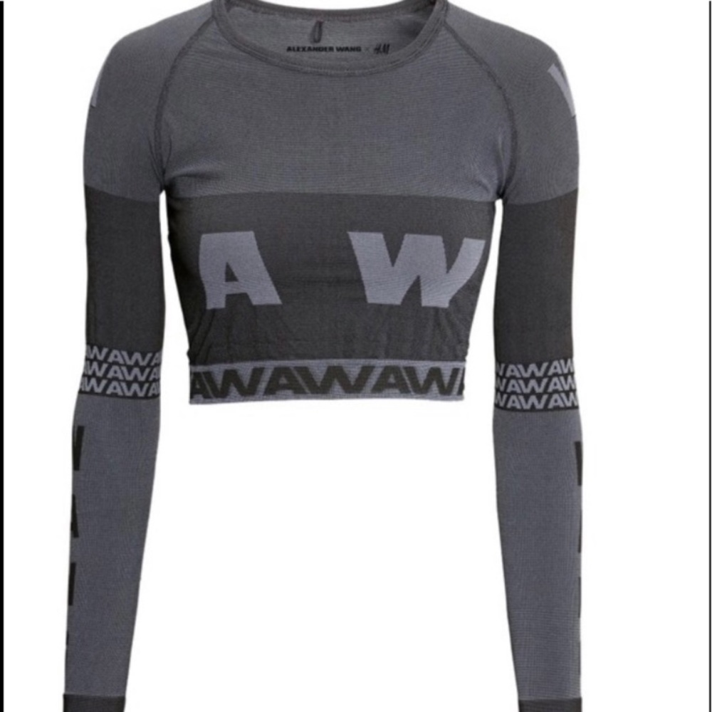 🎉🎉🎉24 Hour Sale 🎉🎉🎉Excellent condition Alexander Wang x H&M set